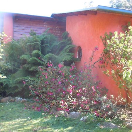 Whispering Spirit Holiday Cottages & Mini Ponies Franklin Экстерьер фото