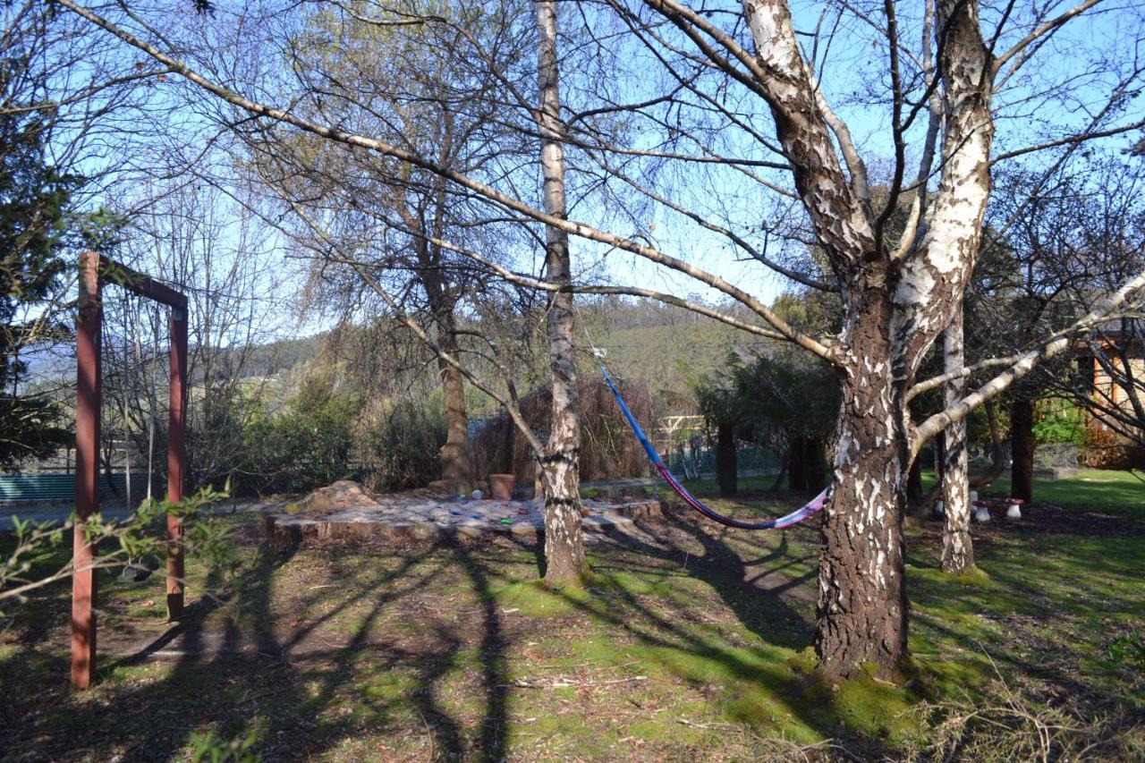 Whispering Spirit Holiday Cottages & Mini Ponies Franklin Экстерьер фото